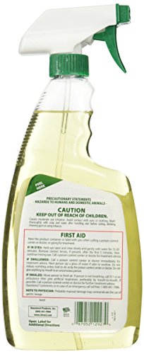 CITRUS II GERMICIDAL DEODORIZING CLEANER 22OZ