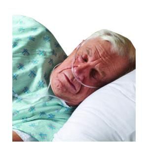 OXYGEN CANNULA ADULT W/7' TUBE 3LPM