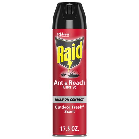 RAID ANT AND ROACH AEROSOL 17.5 OZ