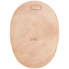 CONV 421681 NATURA + 2 PC PCH CE 1 3/4" BX/30
