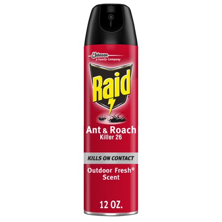 RAID ANT AND ROACH KILLER 12 OZ