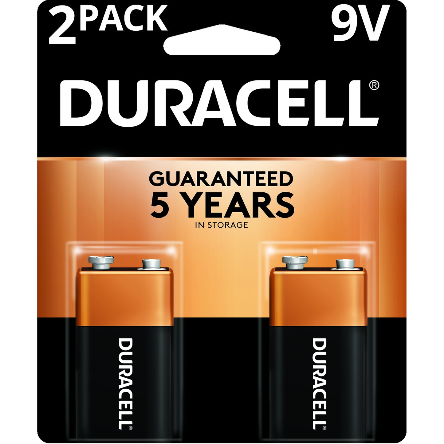 DURACELL BATT 9 VOLT ALKALINE (2) #MN1604B2Z