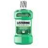 LISTERINE ANTISEPTIC FR/ BURST 1.0 LT PL