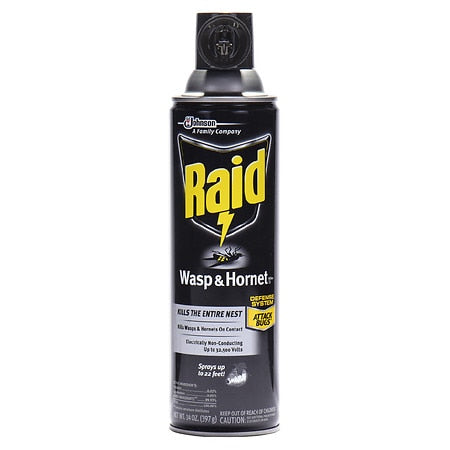 RAID WASP AND HORNET KILLER 14 OZ