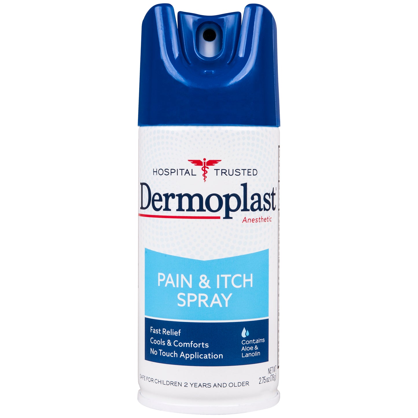 DERMOPLAST SPRAY BURN/ITCH 2.75 OZ