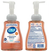 DIAL AB DEFENSE FOAM H/SOAP W/ALOE ORIG 10 OZ